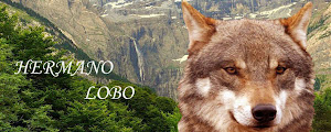 BLOG HERMANO LOBO