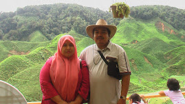 Cameron Highland