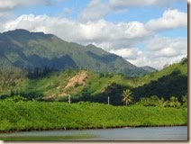 IMG_0286