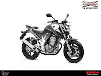 HONDA CBX 250 TIGER-X THE QONQUEROR