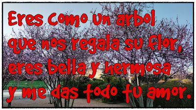 frases romanticas