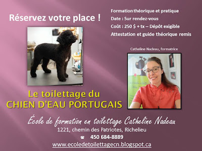 ecole formation toilettage grooming course school pet