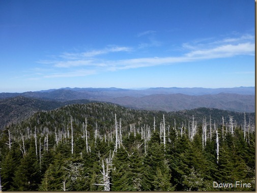 Clingmans dome_033
