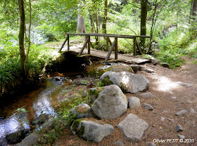 GERARDMER (88) - Le Saut des Cuves