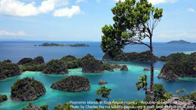 Piaynemo karst islets in Raja Ampat