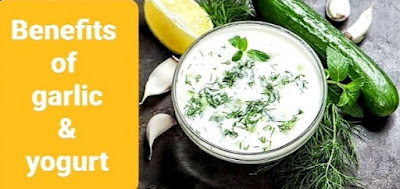 فوائد سلطة الثوم بالزبادي والخيار والحامض Benefits of garlic with yogurt   فوائد الثوم مع الزبادي