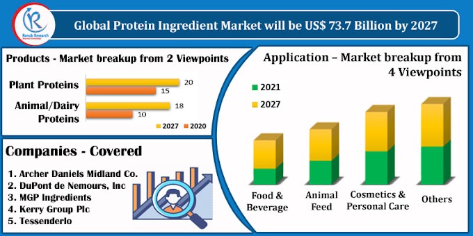 Protein Ingredient Market By Products, Regions, Global Forecast by 2021 - 2027