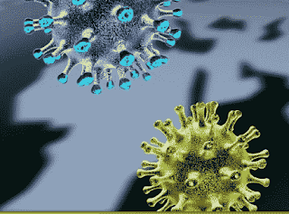 coronavirus