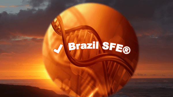 ✔ Brazil SFE®