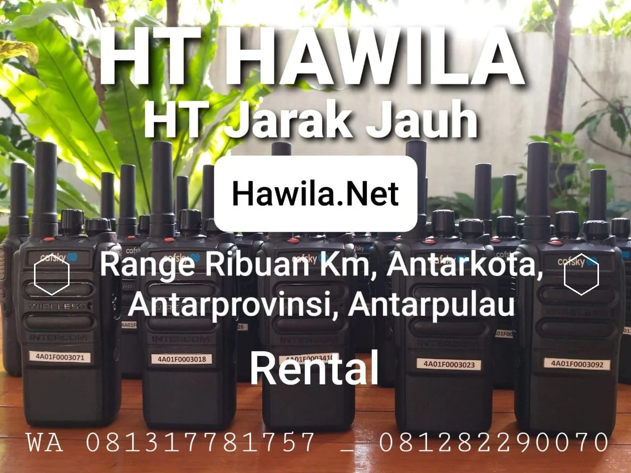 HT Hawila, Sewa  HT Jarak Jauh, Cafsky Radio, HT Hawila HT Jarak Jauh | Sewa Handy Talky GSM | Rental Radio Walkie Talkie POC Harian, Minggun, Bulanan, Kotrak Tahunan