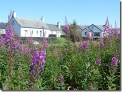 easdale cottages4