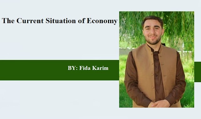 The Current Situation of Economy By : Fida Karim