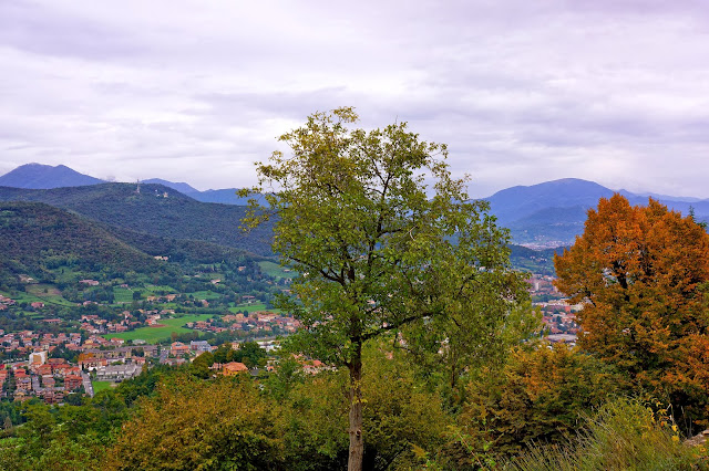 Image of trees and mountains near Bergamo, Italy.