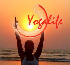 Souplesse Oblige Blog 6 Reasons To Join The Yogalife