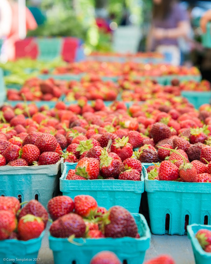 Portland, Maine USA July 2017 photo by Corey Templeton of the Portland Farmers' Market in Deering Oaks Park