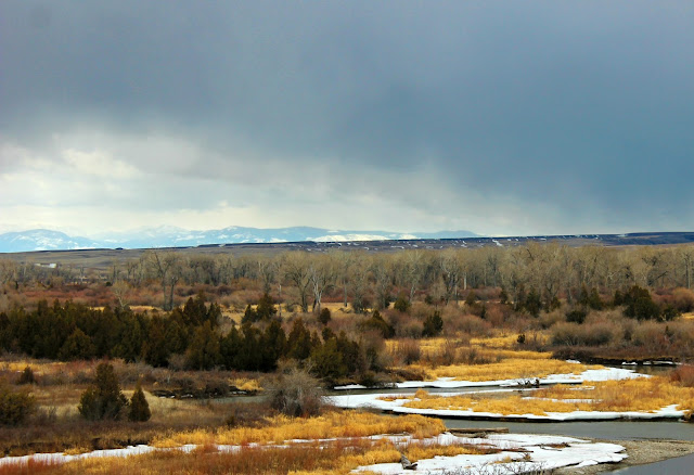 Montana in late winter