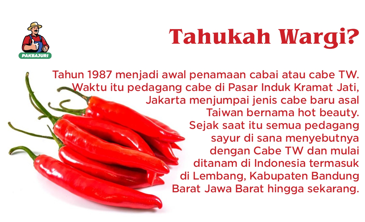 Harga Sayur Cabe TW di Bulan Nopember 2022