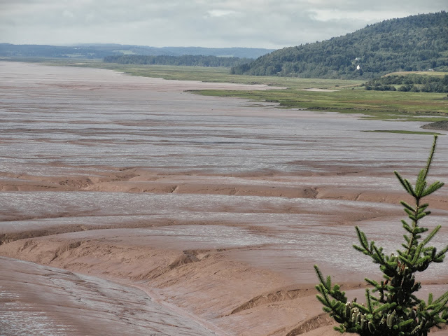 Fundy National Park - A Pinay's Diary