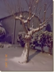 DSCN1792