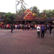 View album
