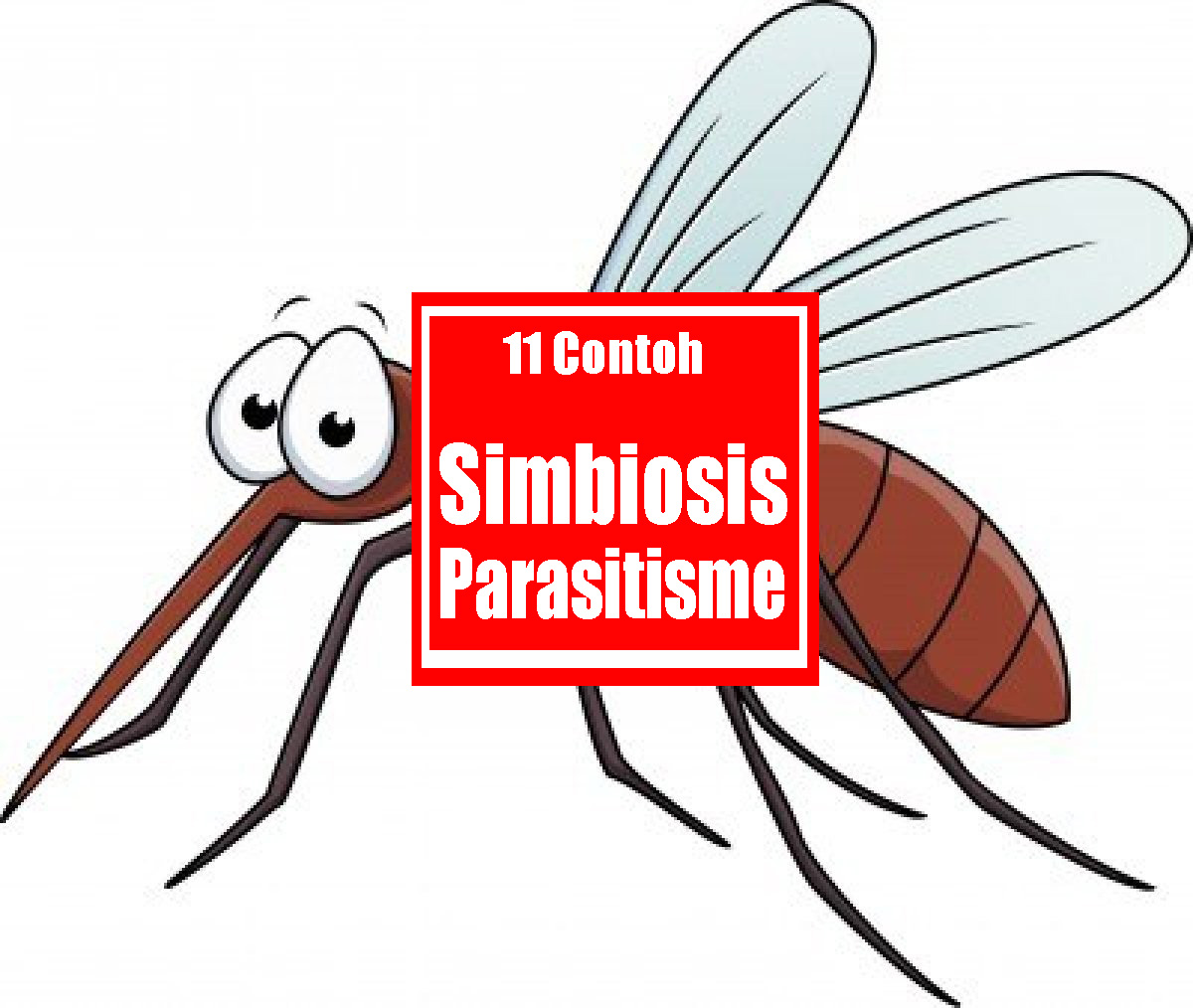 11 Contoh Simbiosis Parasitisme Lengkap Dengan Gambar