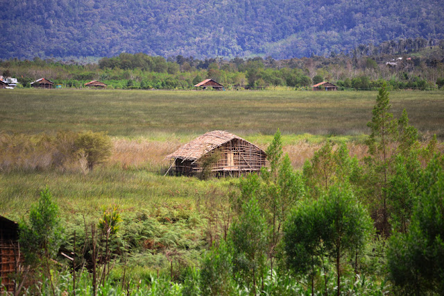 Thousand Foot House Typical Arfak Tribe