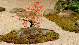 Adachi Museum of Art Garden Plants and Rocks