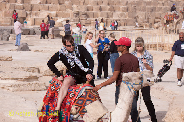Cairo Pyramid - Tourist trying to climb a decorated camel right next to the Great Pyramid