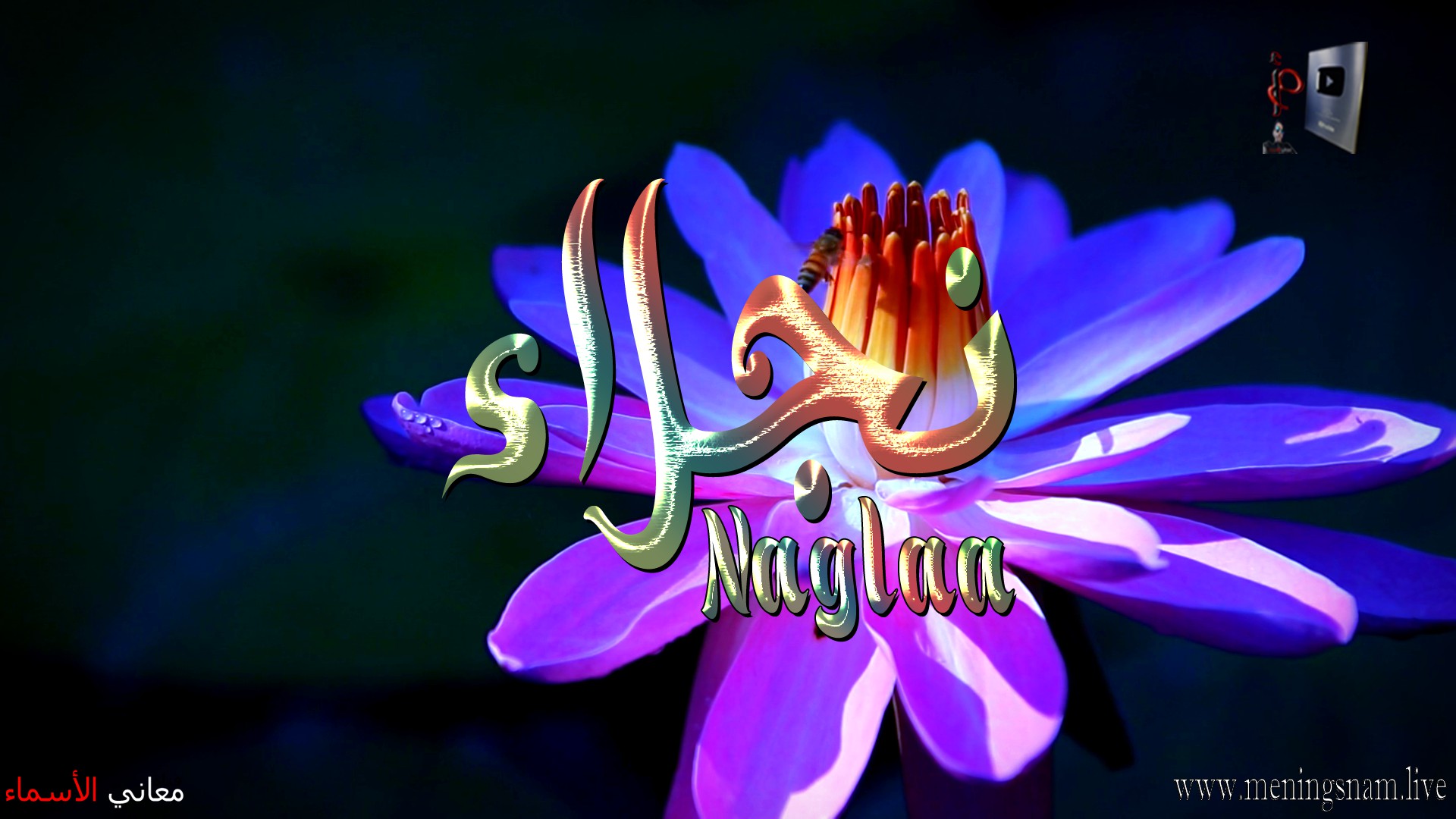 معنى اسم, نجلاء, وصفات, حاملة, هذا الاسم, Naglaa,