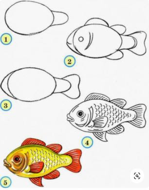 Paso a paso dibujar peces facil - How to draw a fish step by step - Como dibujar un Pez - как нарисовать рыбу
