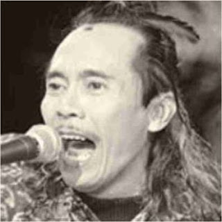 http://bram-tobing.blogspot.com/2013/04/8-penyanyi-indonesia-berasal-dari.html