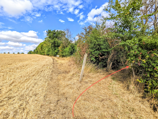 Much Hadham footpath 6 cuts through the hedgerow