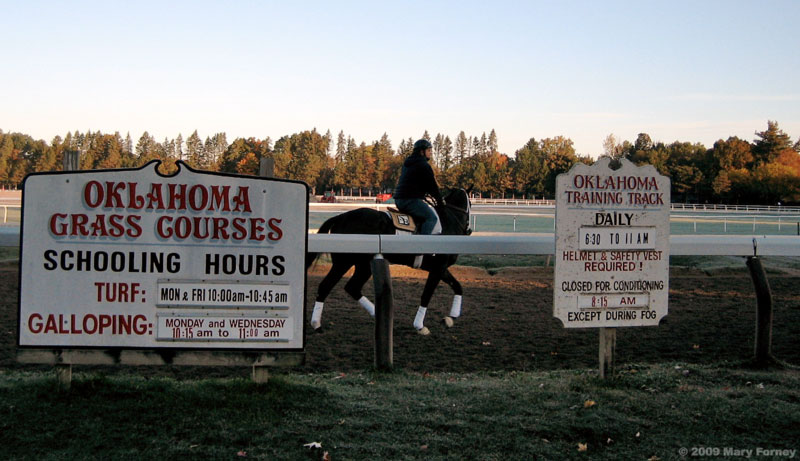 Oklahoma Trianing Track, Saratoga