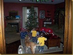Christmas 2010 003