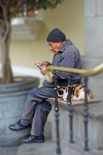 Old Man Reading Newspaper with his Cat