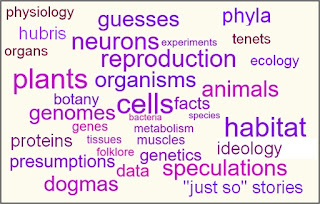 biology word cloud