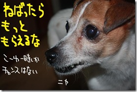 今日カズ１００５０５　５