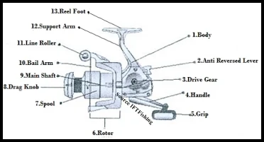 Mengenal Lebih Detail Tentang Spinning Reel