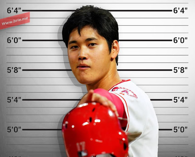 Shohei Ohtani mugshot