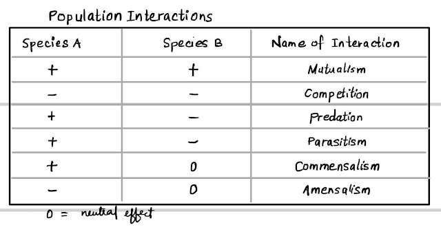 Population Interaction - Amensalism, Commensalism, Symbiosis