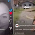 VÍDEO: Advogada confunde filtros em live, sai de ‘rabo’ de cachorro e viraliza na web