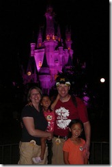 Magic Kingdom castle