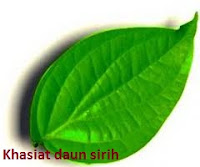 khasiat daun sirih serta manfaat daun sirih