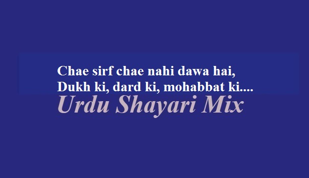 2 line poetry | 2 line shayari | Attitude poetry, Chae sirf chae