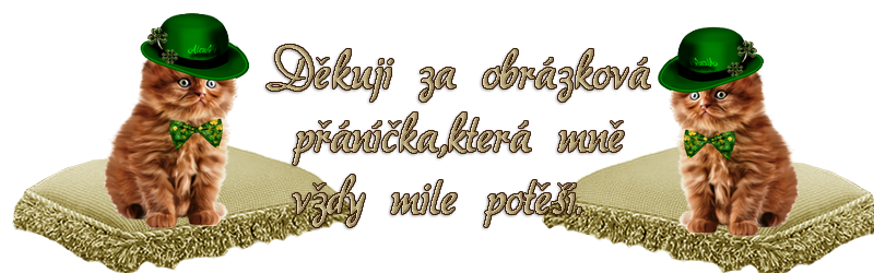 Nepojmenovan%C3%BD%204%20kopie.png