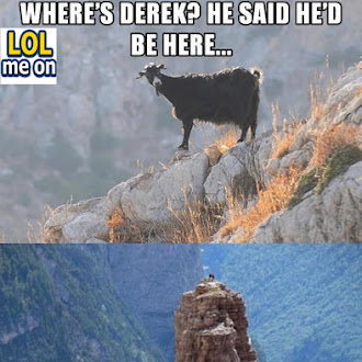  Man Fuck Derek - Funny Picture With Caption