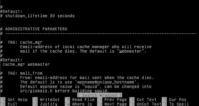 Proxy Debian Squeeze