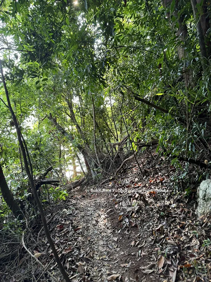 Bukit Batu Putih Tanjung Tuan Melaka