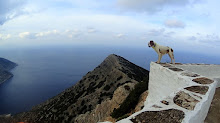 Η φωτογραφία μου