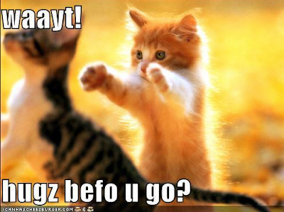 Waayt! Kitteh hugs befor you go?